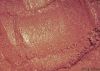 Picture it: Sicily Loose Eye Shadow