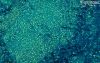Digital Faerie Loose Eye Shadow