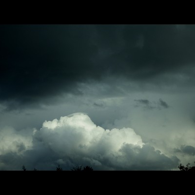 Eau de Parfum: Convergence Zone