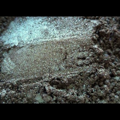 Arcane Magic: Velveteen Werewolf Loose Eye Shadow