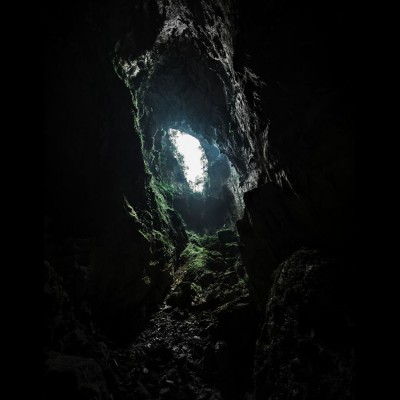 Perfume Oil: Beneath The Forest Perfume Oil: Beneath The Forest