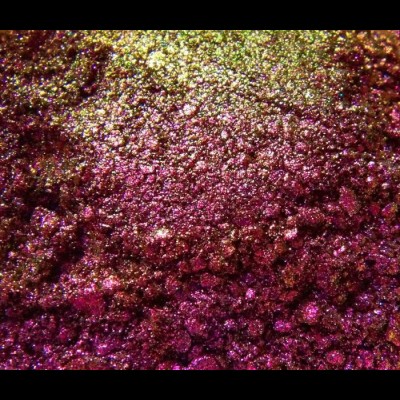 Exquisites: Gaydar Loose Eye Shadow