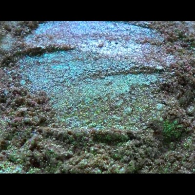 Exquisites: Space Weather Loose Eye Shadow