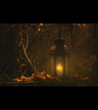 Perfume Oil: Lantern Light